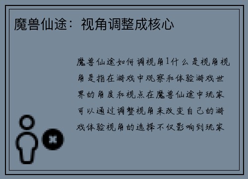 魔兽仙途：视角调整成核心